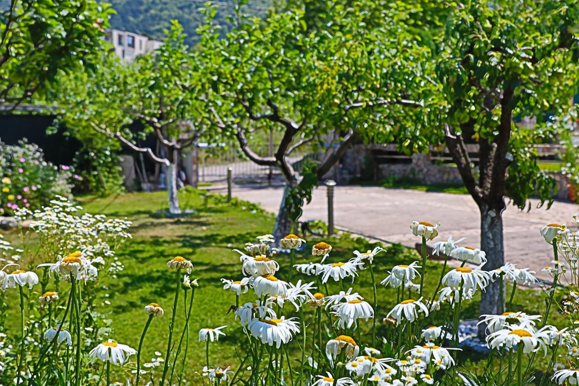 Holiday House Kubrat Сапарева-Баня Экстерьер фото